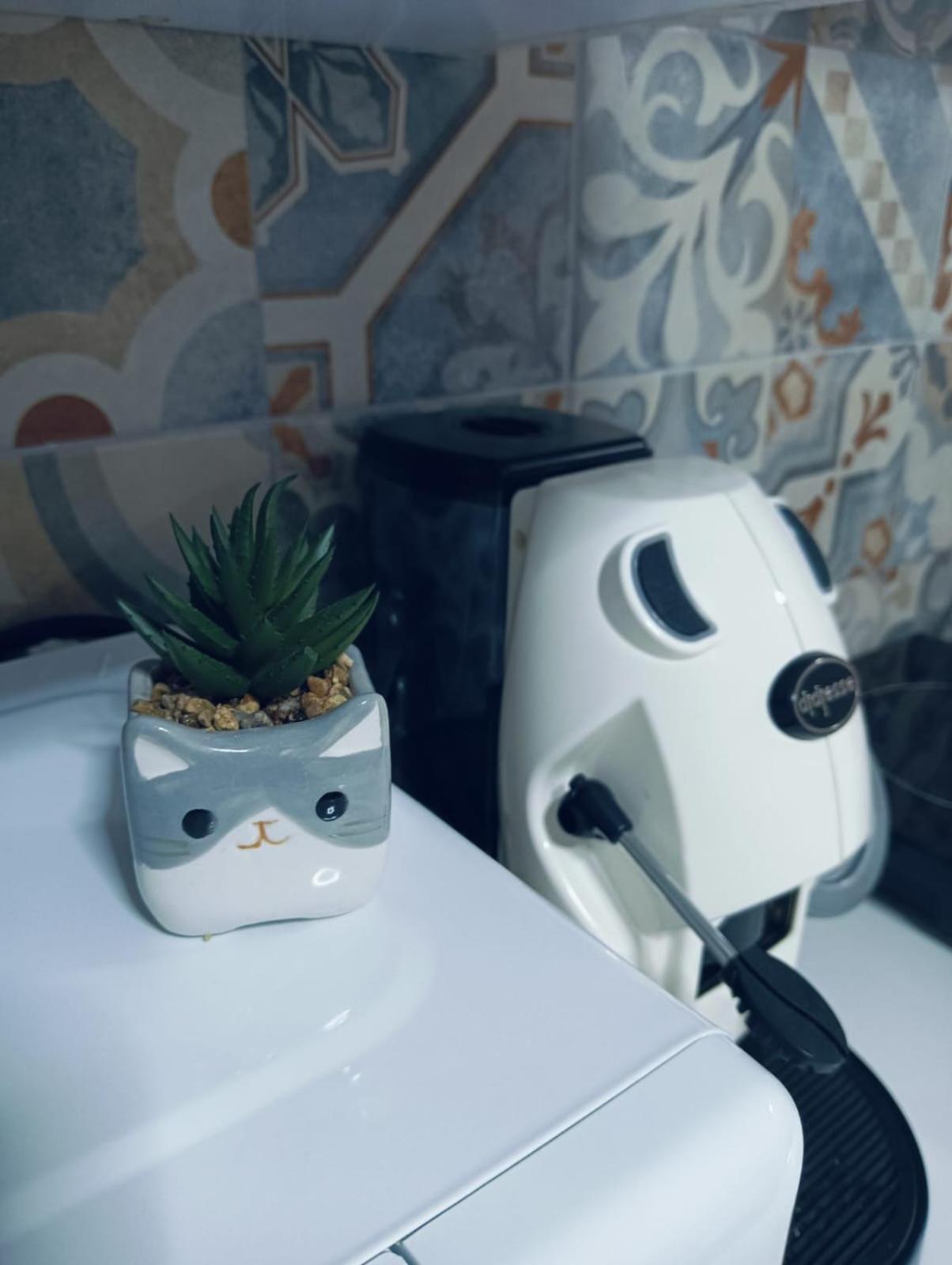 The White Cat Villa Naples Luaran gambar